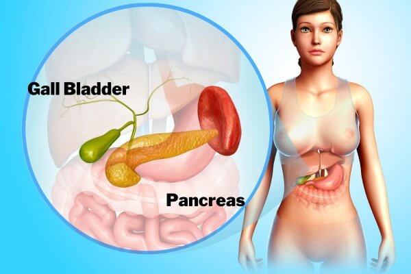 Graphic photo showing the pancreas and gall bladder - disease in both organs are causes of internal heat