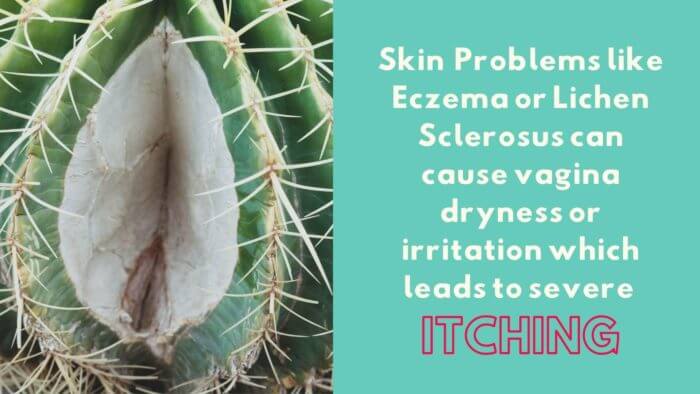 Skin Problems like Eczema cause itching if in the vagina or vulva area