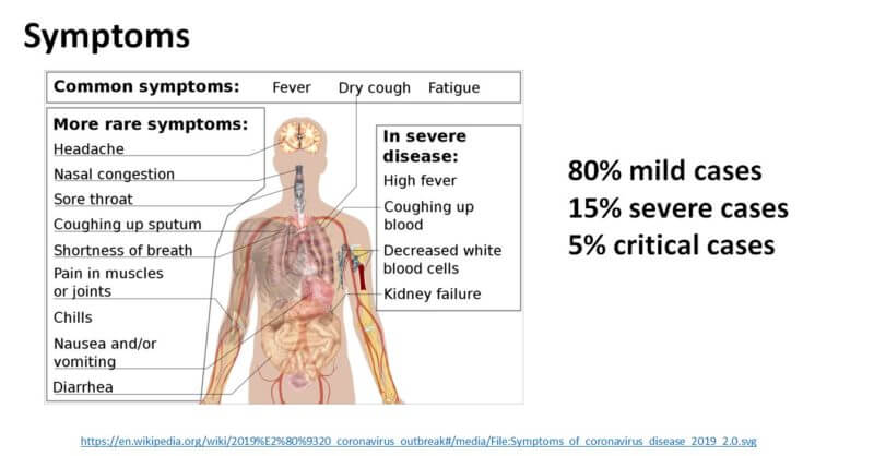 Image with symptoms of Coronavirus