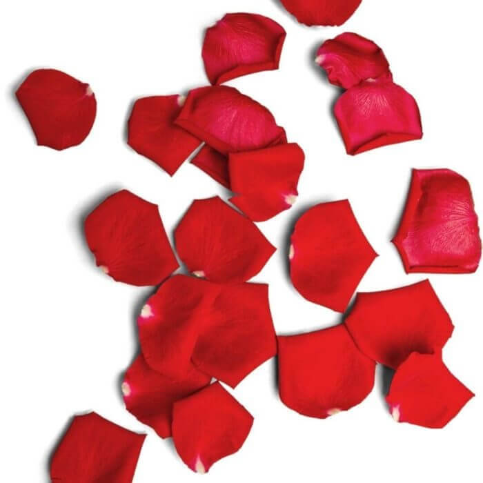 A scatter of rose petals