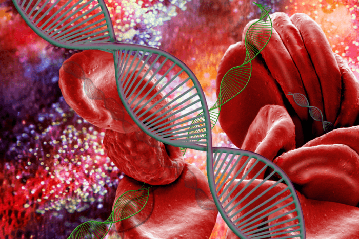 Haemoglobin SC Disease develops from a genetic disorder
