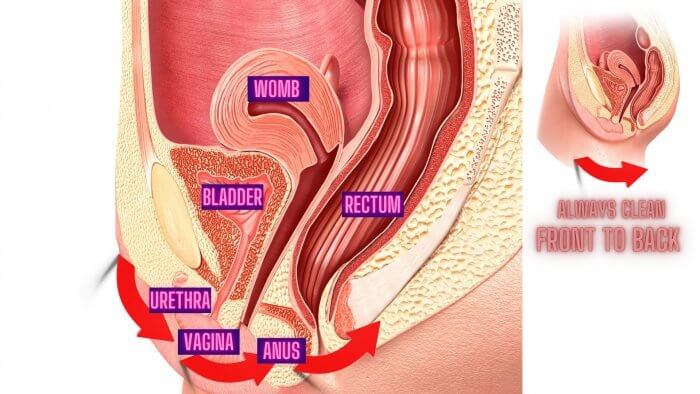 Ladies Hygiene Tips 4