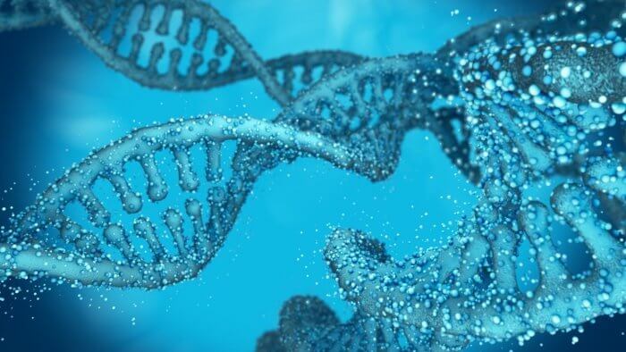 DNA Paternity Test