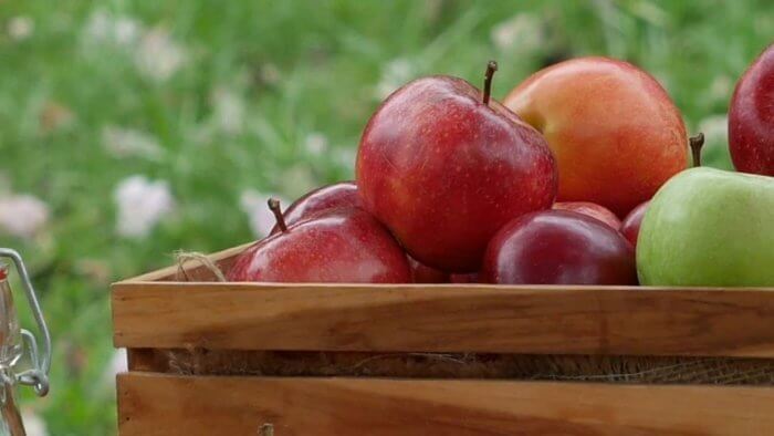 Fibroids Natural Treatments Apple Cider Vinegar