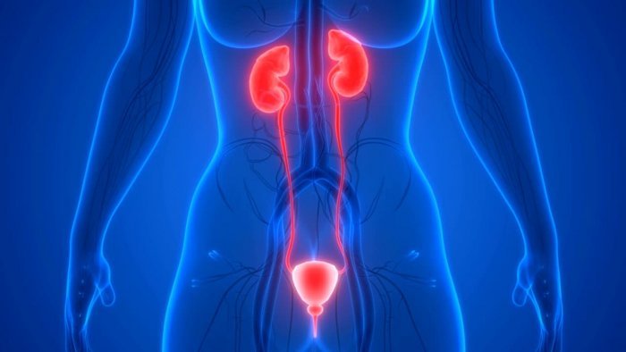 repeat urine infections 