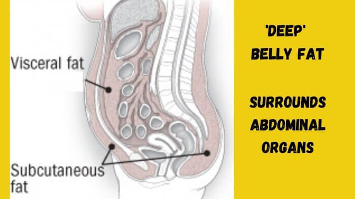 Image of abdomen for Stubborn belly fat blog