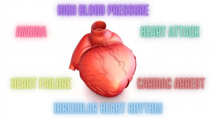 heart healthy diet